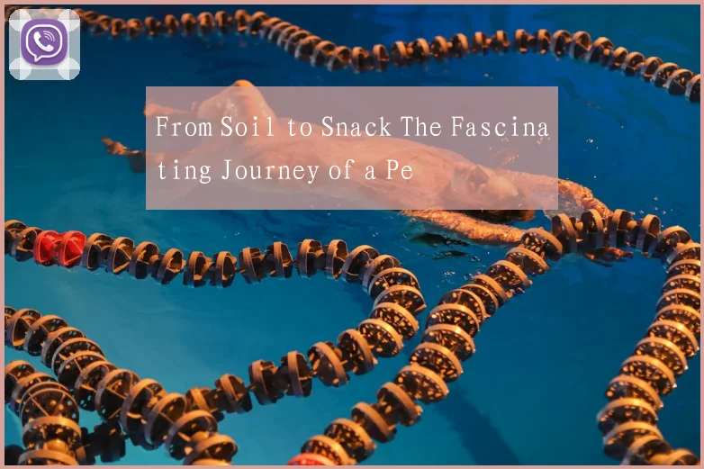 From Soil to Snack The Fascinating Journey of a Pe