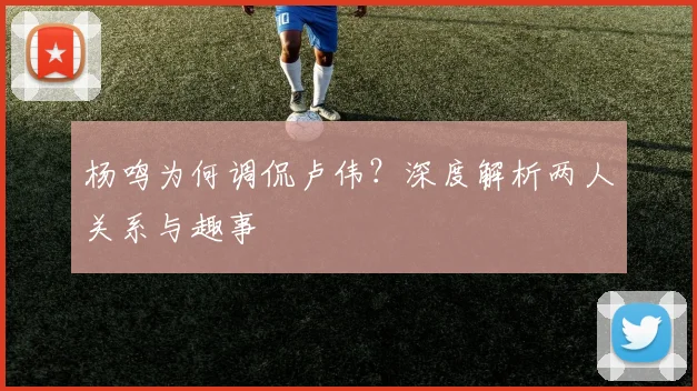 杨鸣为何调侃卢伟？深度解析两人关系与趣事