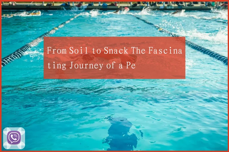 From Soil to Snack The Fascinating Journey of a Pe