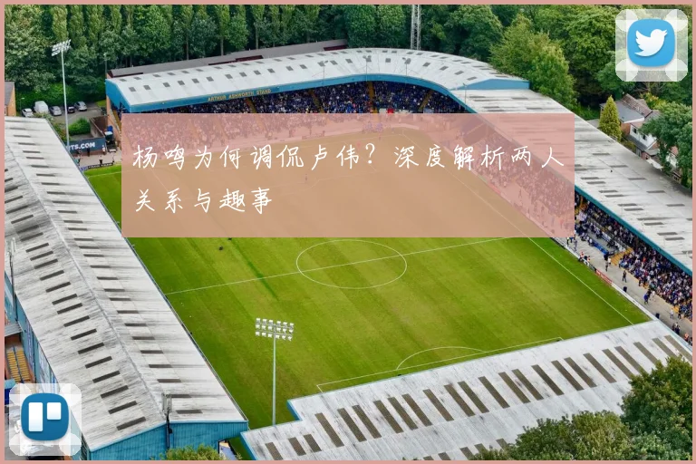 杨鸣为何调侃卢伟？深度解析两人关系与趣事